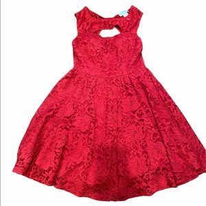 NWT Filly and Flair lace dress size large